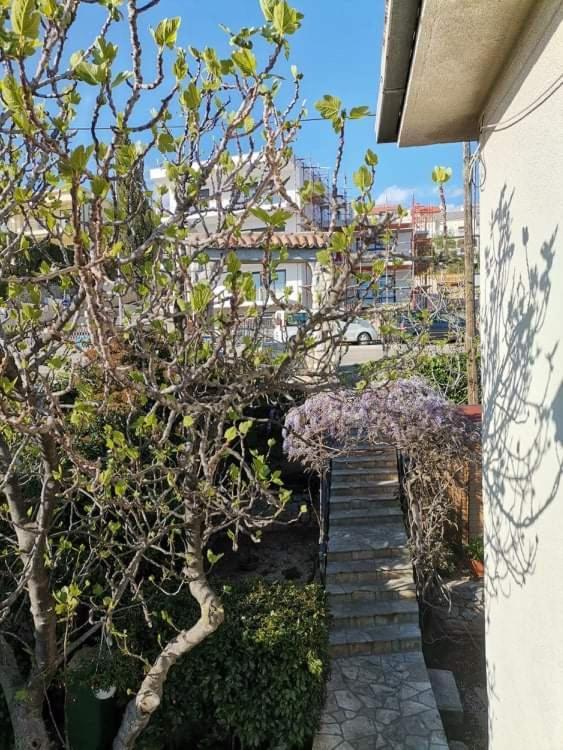 Guest House Sunce نوفي فينودولسكي المظهر الخارجي الصورة