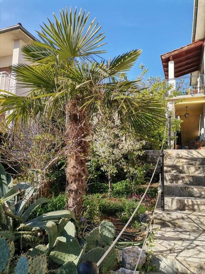 Guest House Sunce نوفي فينودولسكي المظهر الخارجي الصورة